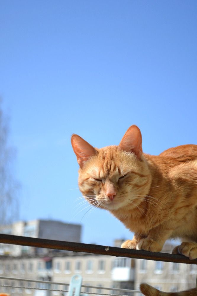 Photograph by Ксения Климова