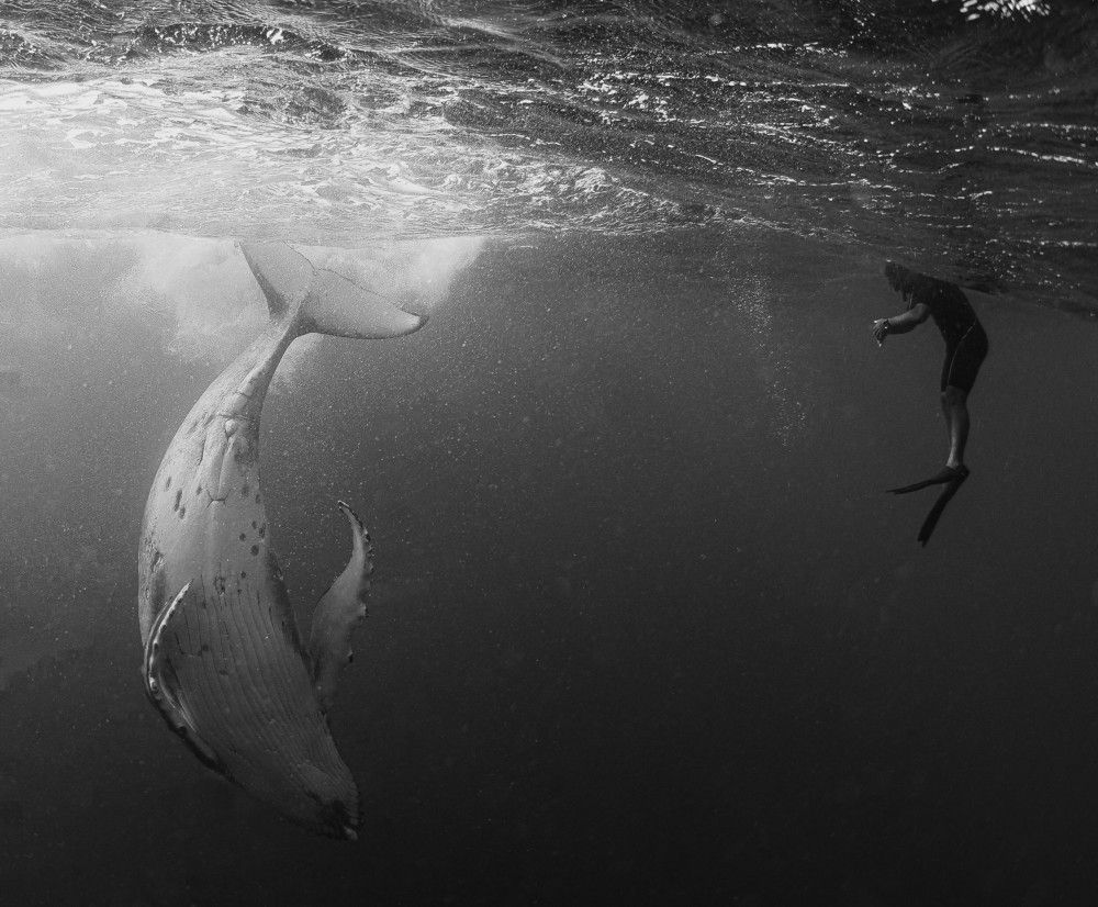 Encounter in the Splash