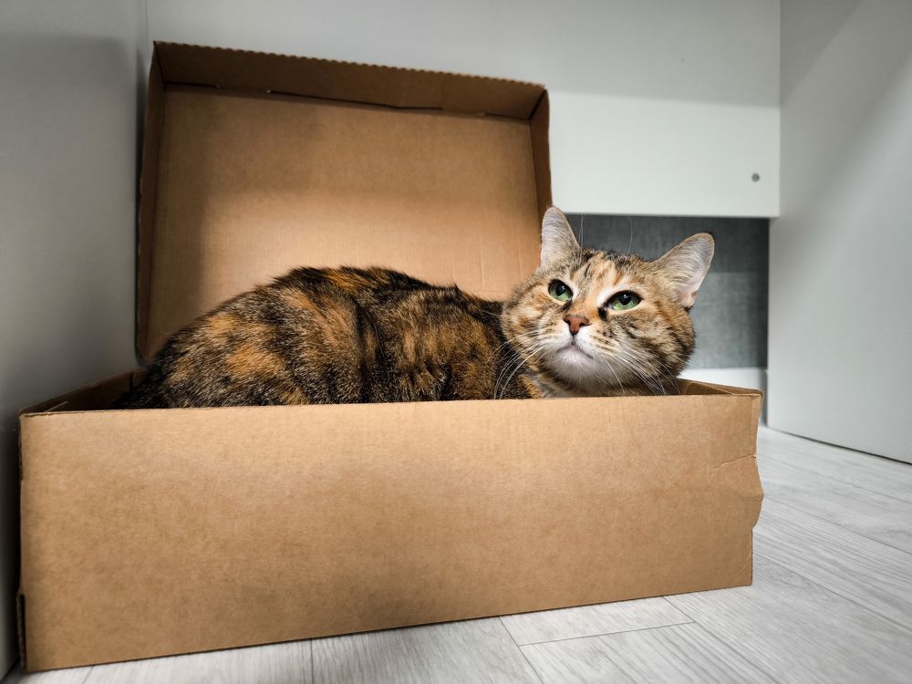 Photograph by Шейко Анна