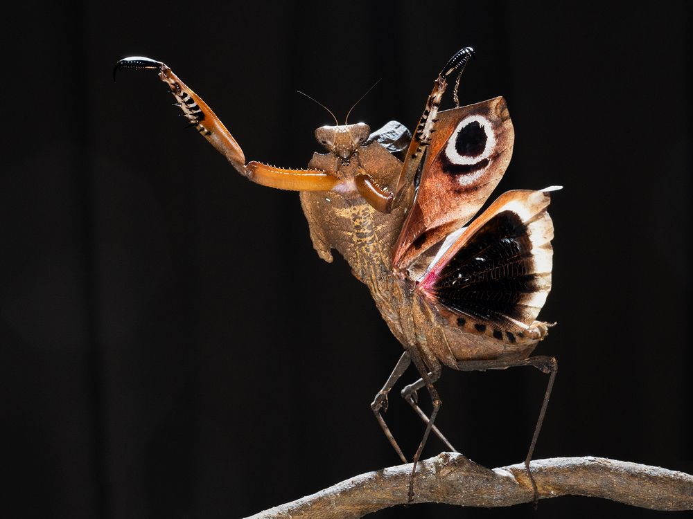 Photograph by TAN LING ZI