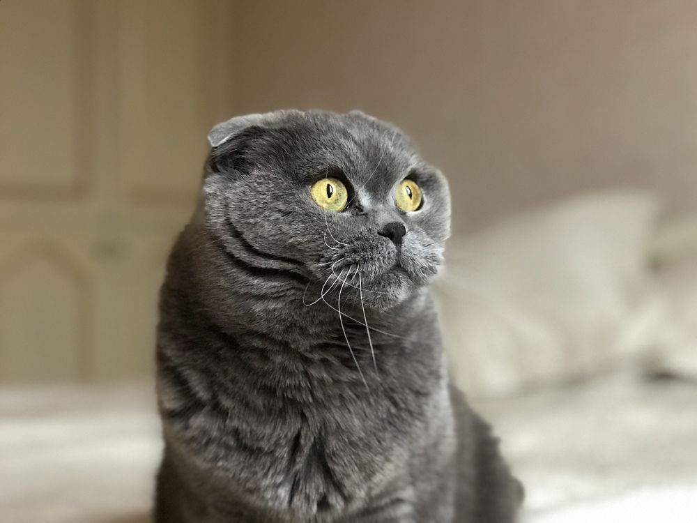 Photograph by Oksana Shchegolkova