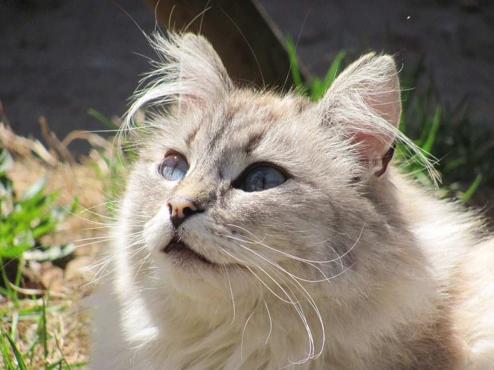 Photograph by Юлия