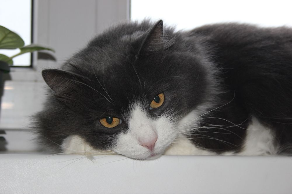 Photograph by Юлия