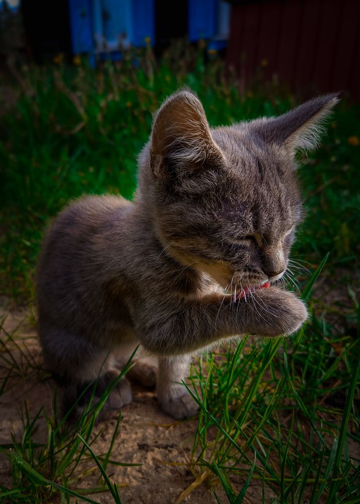 Photograph by Олеся Бронзова