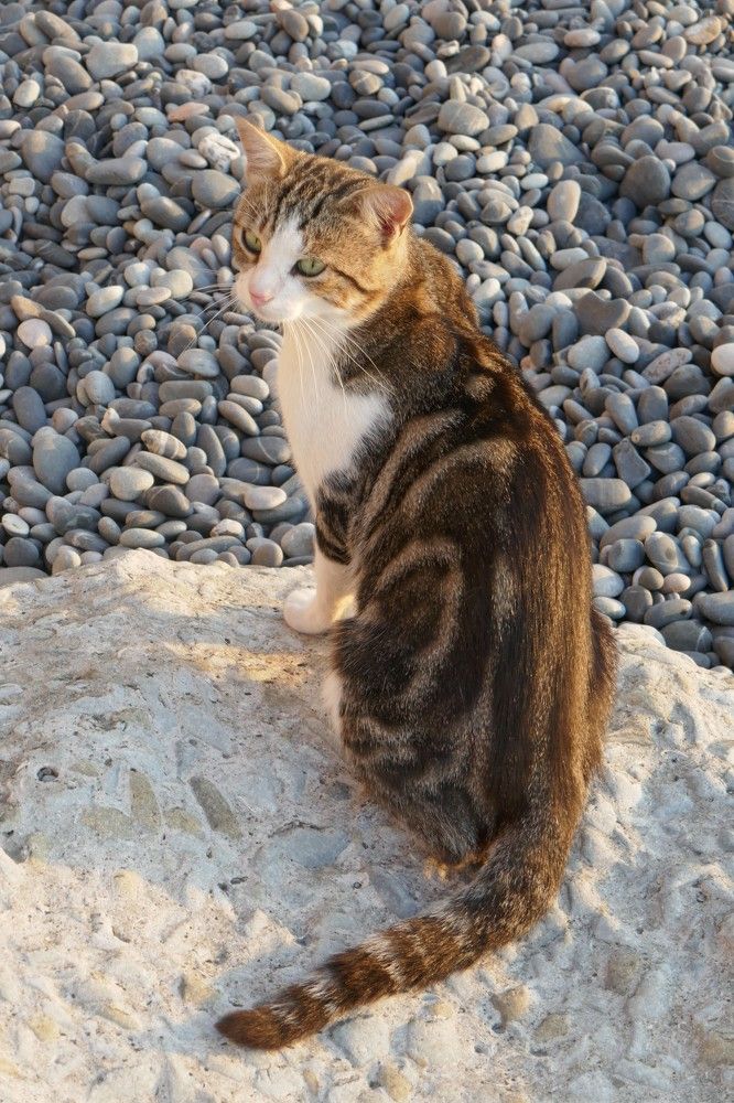 Photograph by Антон