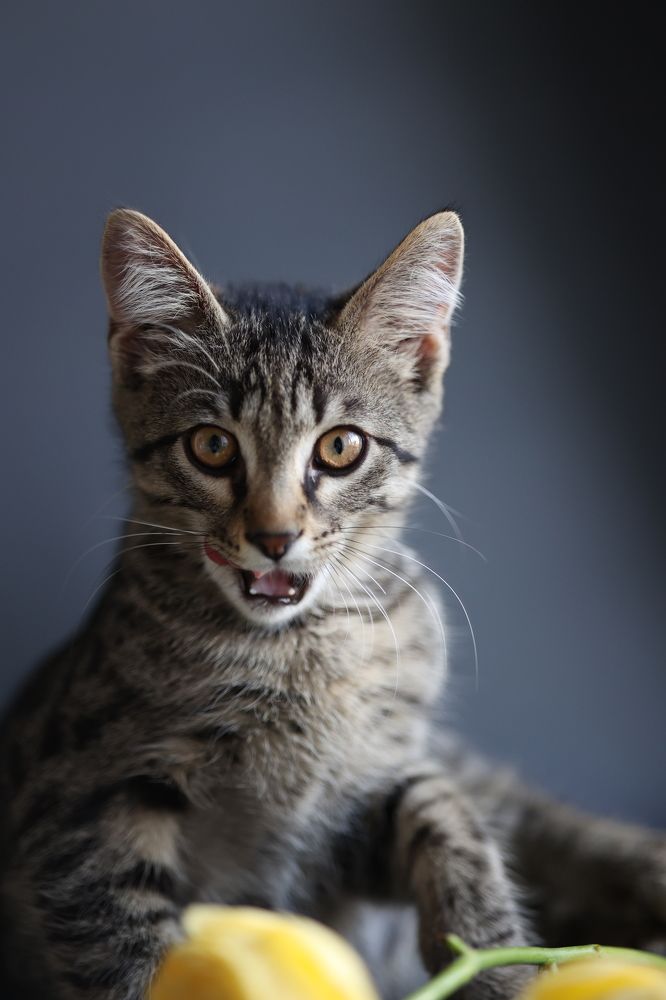 Photograph by Екатерина Свириденко