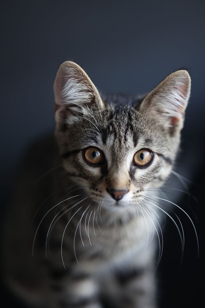 Photograph by Екатерина Свириденко