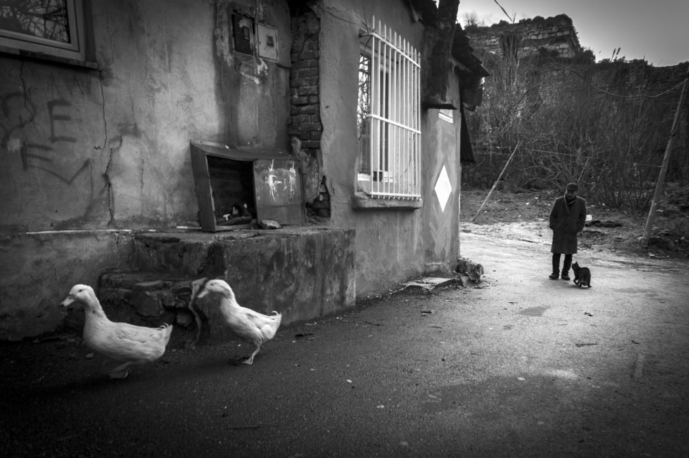 Photograph by HALUK ALP