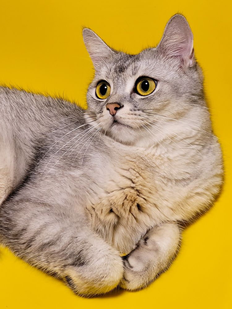 Photograph by Валерия Гуртовая