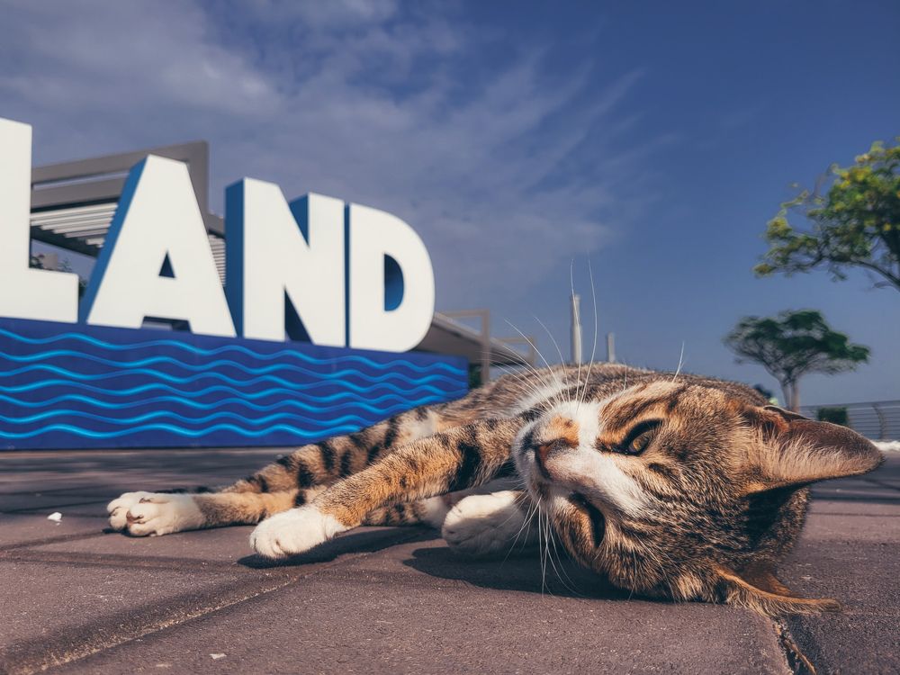 Photograph by Валерия Гуртовая