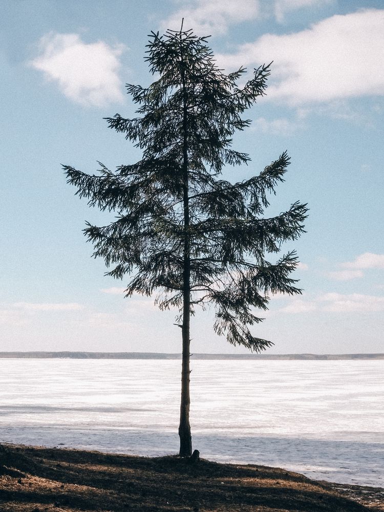 Photograph by Екатерина Бердутина