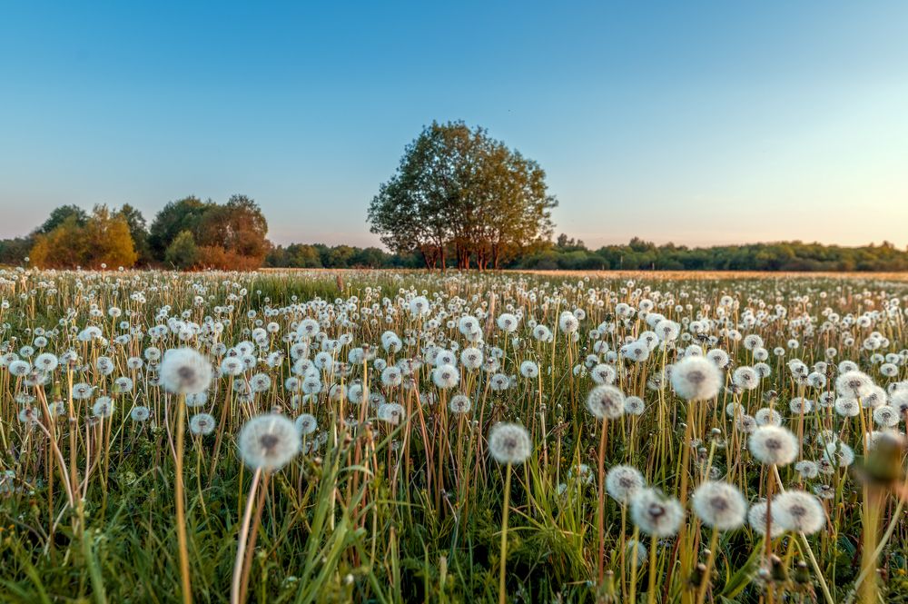 Photograph by Елена Ефимова
