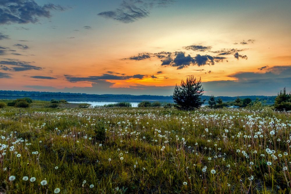 Photograph by Елена Ефимова