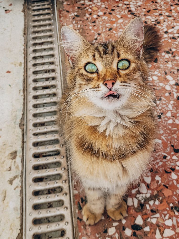 Photograph by Валерия Гуртовая