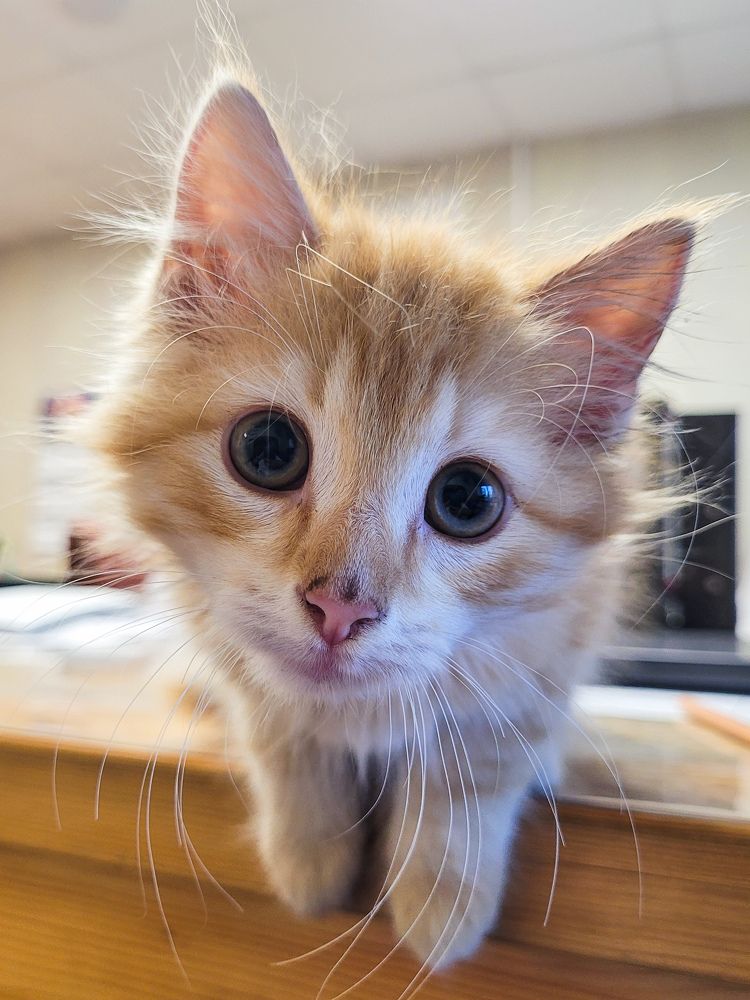 Photograph by Валерия Гуртовая