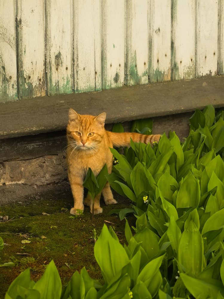 Фотография автора Ольга Панасюк