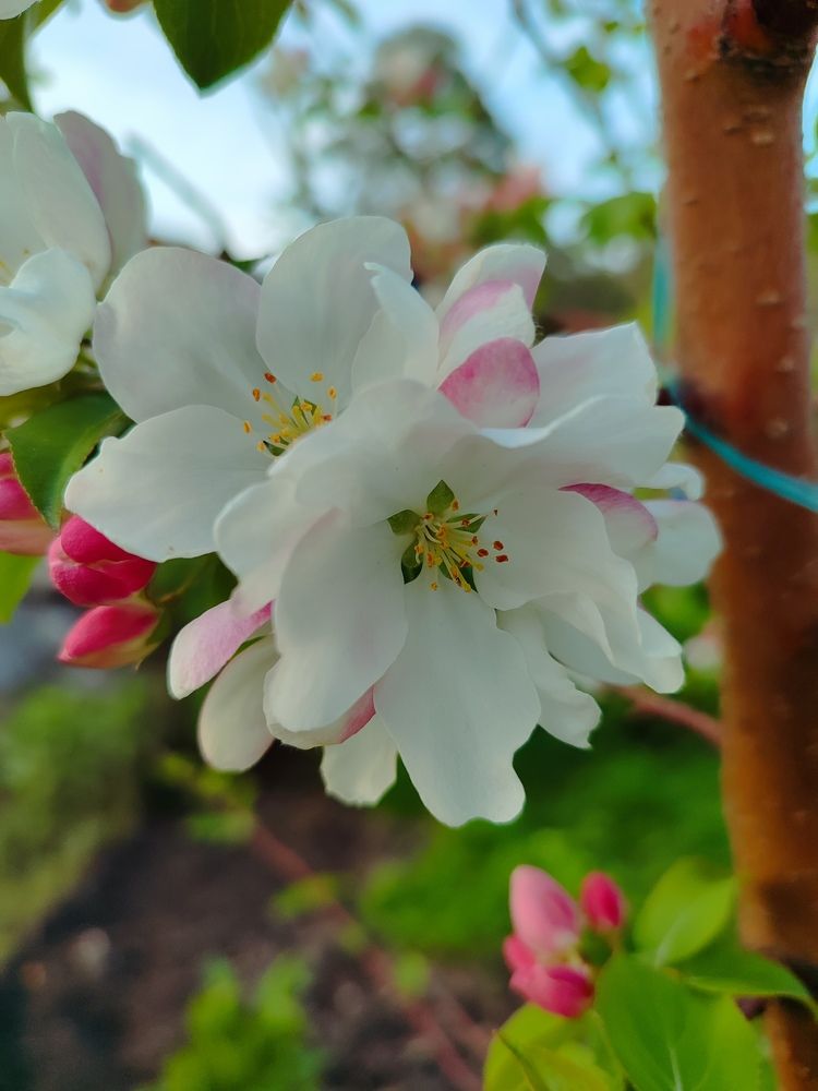 Photograph by Екатерина Лакутина