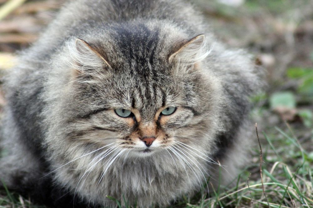 Photograph by Александр Малютин