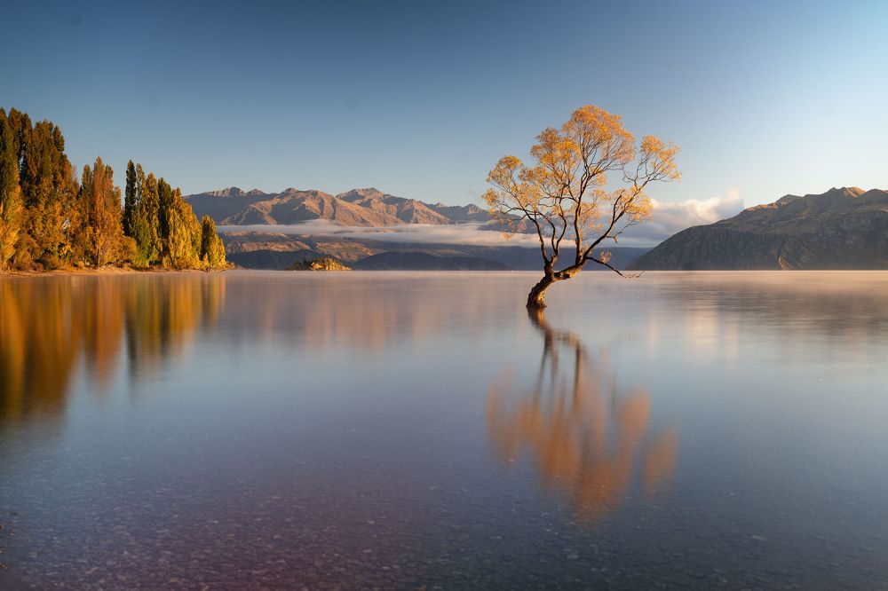 Photograph by Marcela Briere