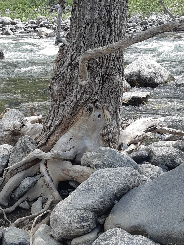 Photograph by Ирина Вдовенко