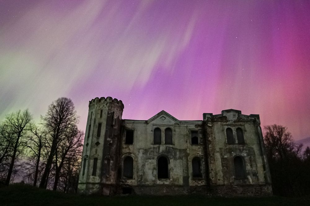 Photograph by Vera Komarova