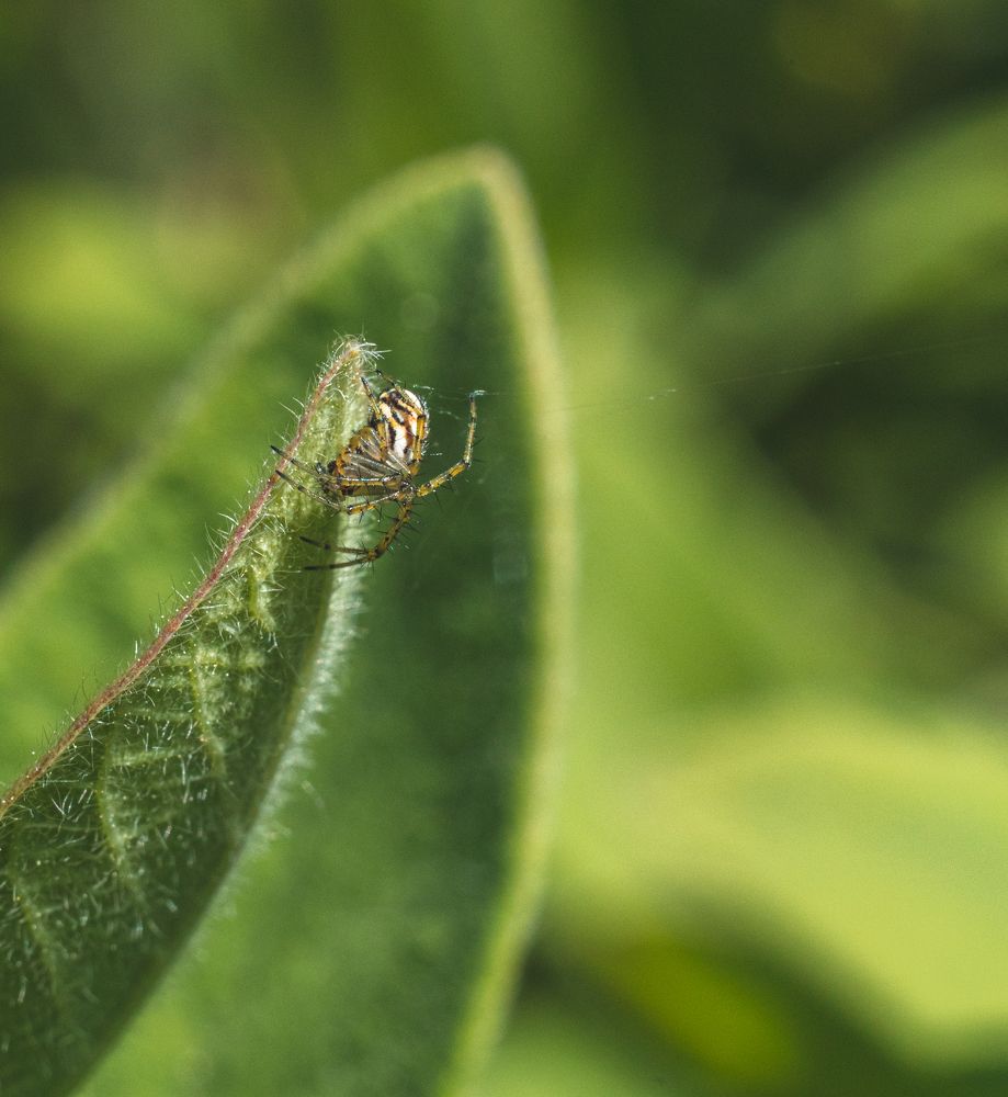 Photograph by Алексей Медведев