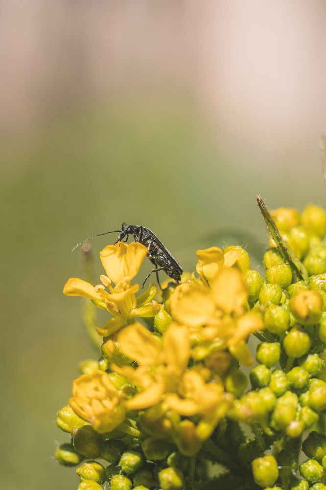 Photograph by Алексей Медведев