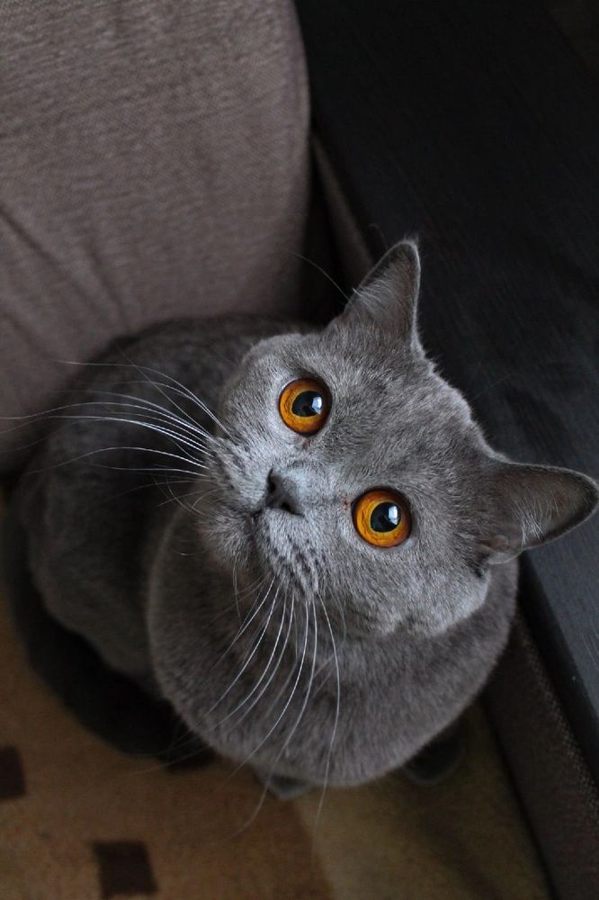 Photograph by Арина Маркина