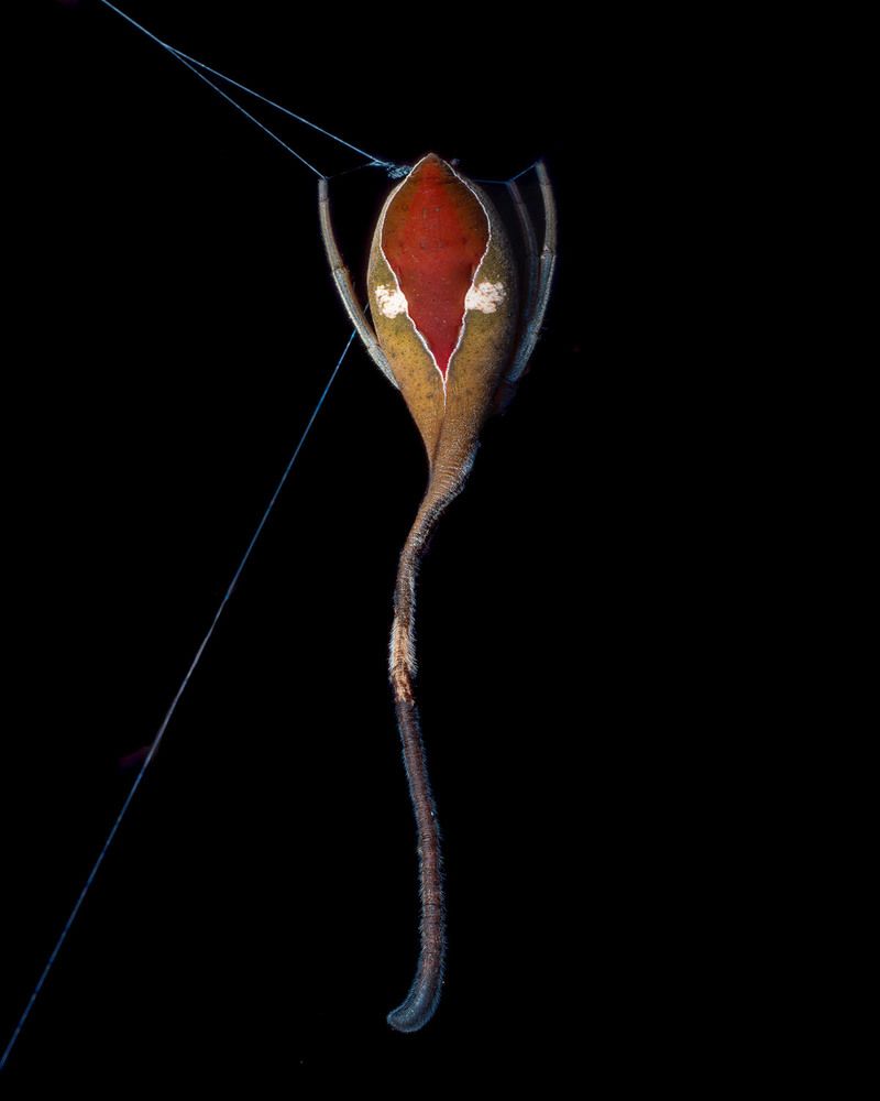 Photograph by Manjunath S