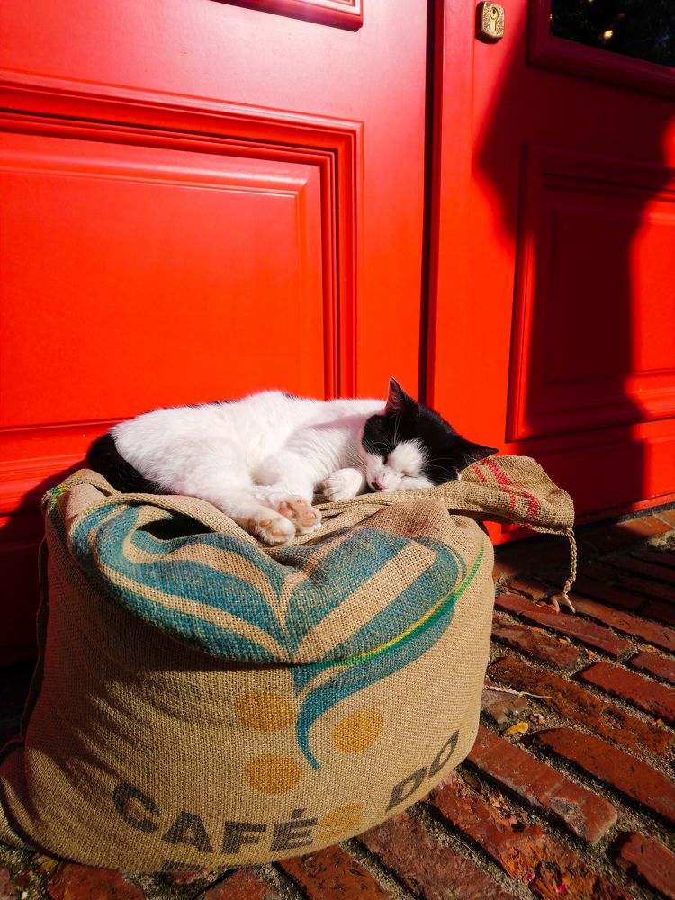 Фотография автора Ксения