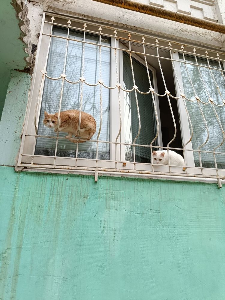 Photograph by Юрий Варюхин