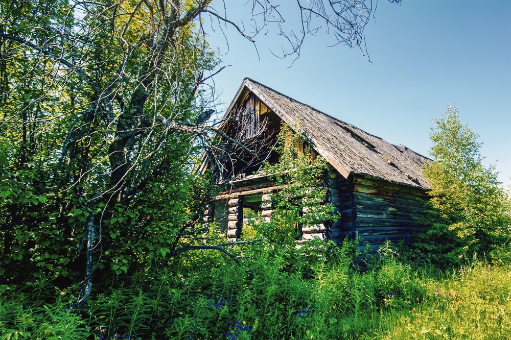 Photograph by Sergey Lebedev