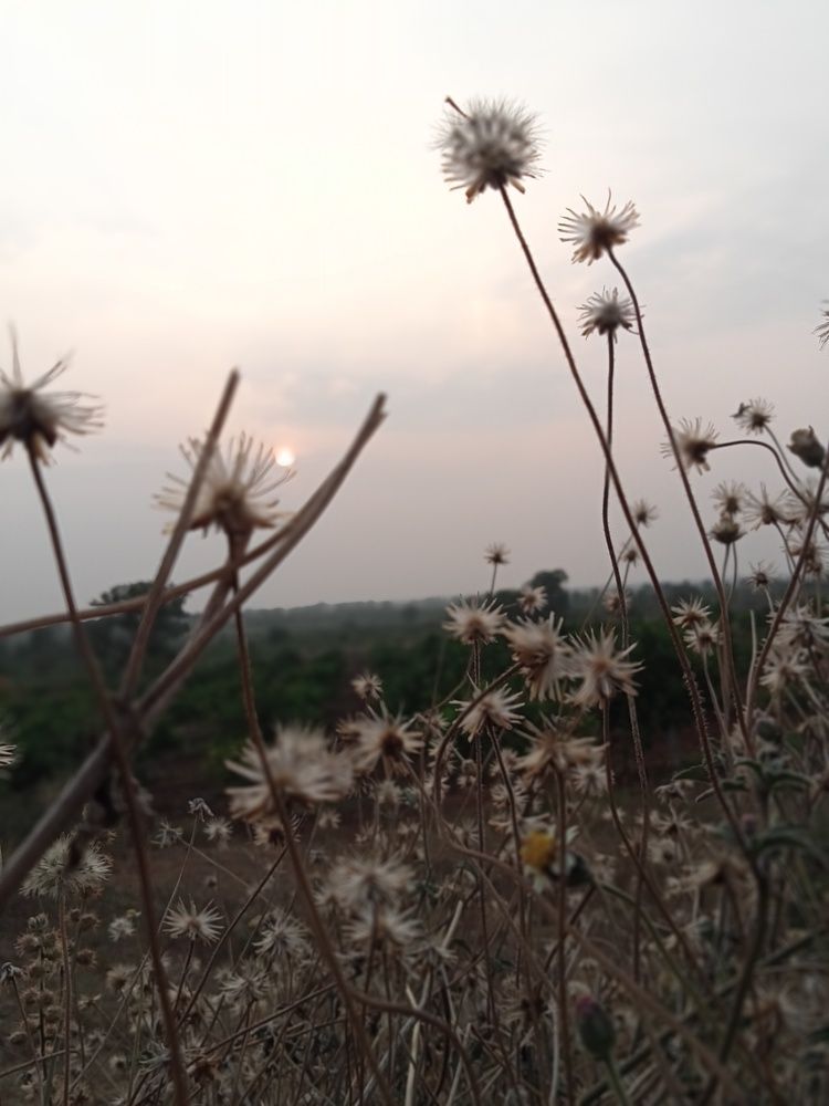Photo #10673717