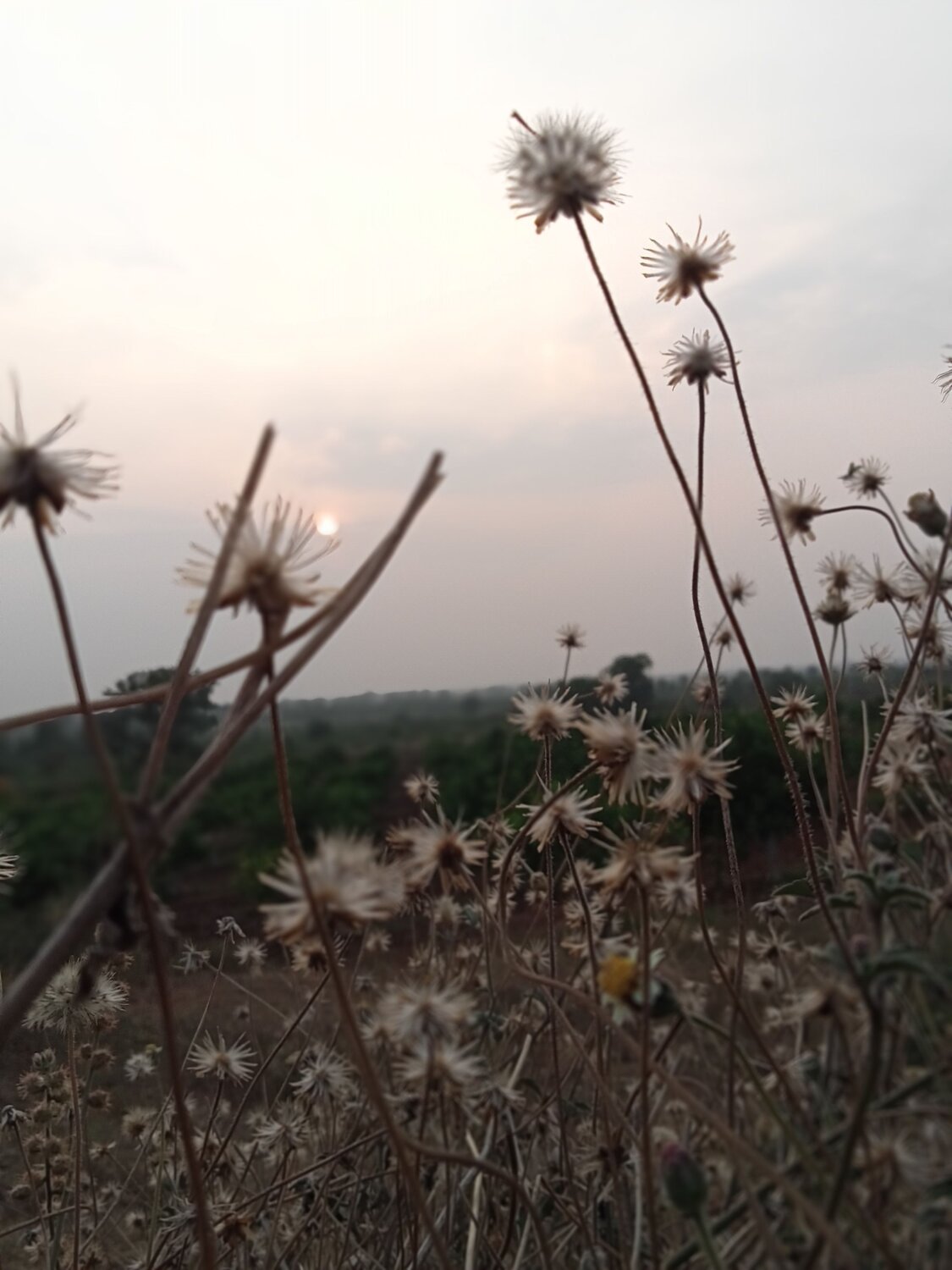 Photo #10673717