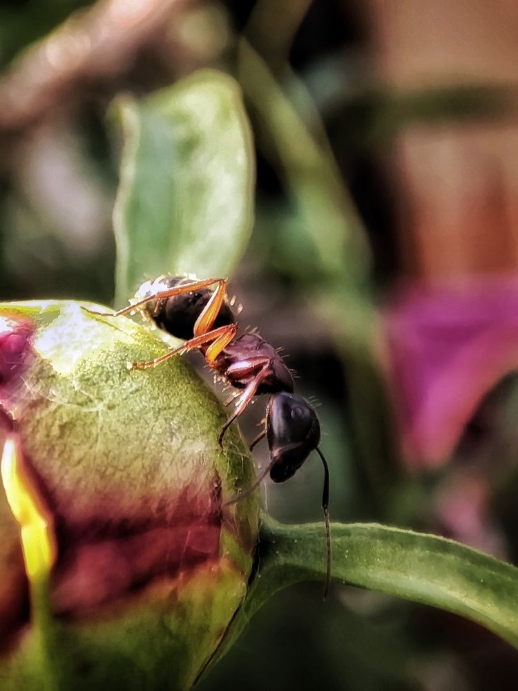 Photograph by Anastasia Malyukova