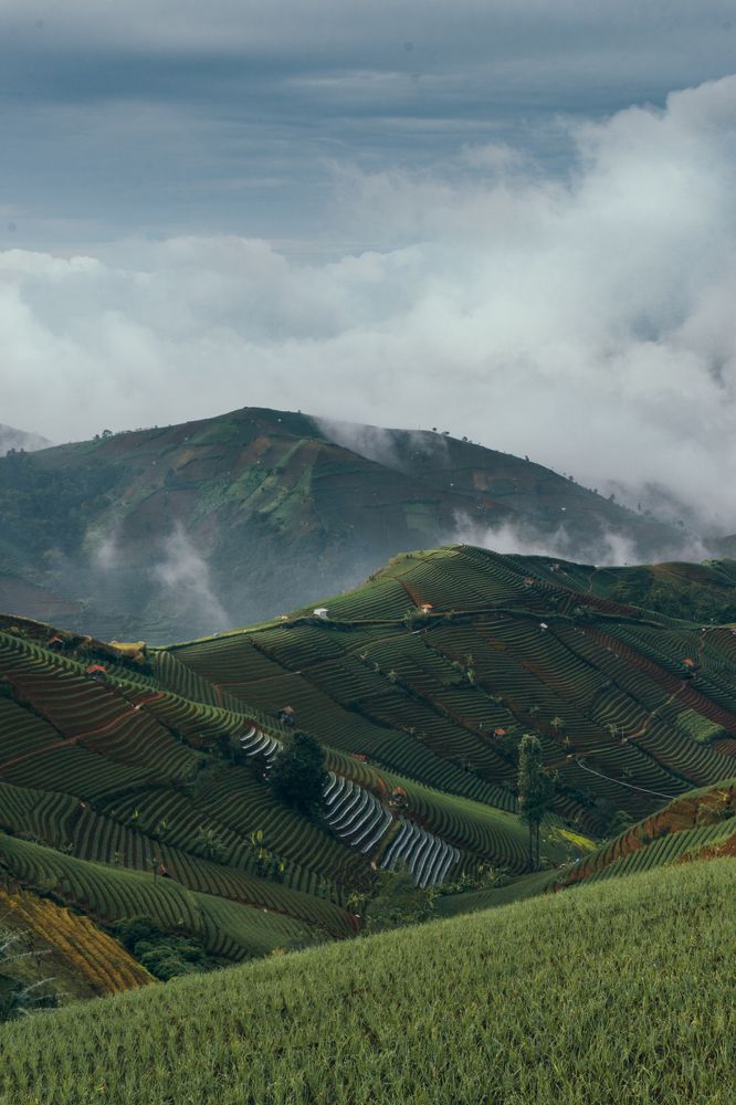 Фотография автора Bayu Adji Purnomo