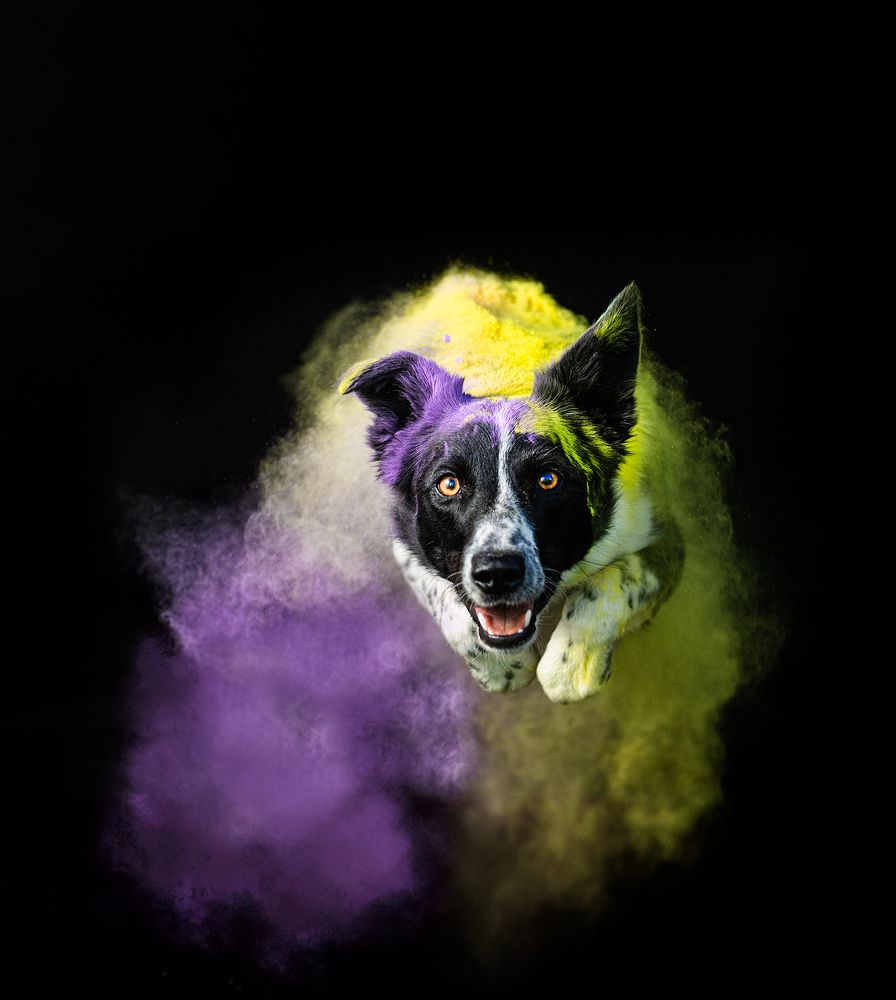 Photograph by Noa Táboas