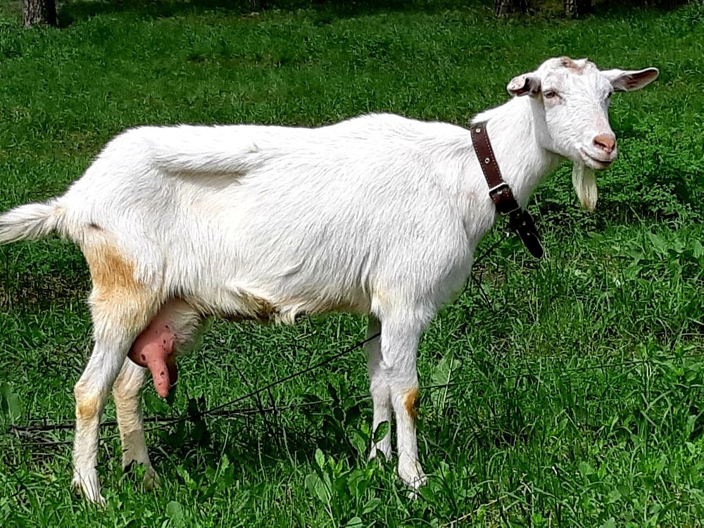 Photograph by Olga Александрова