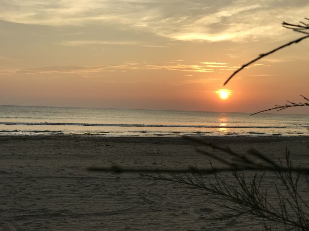 Photograph by Deasy Junita Dhani Hidayana