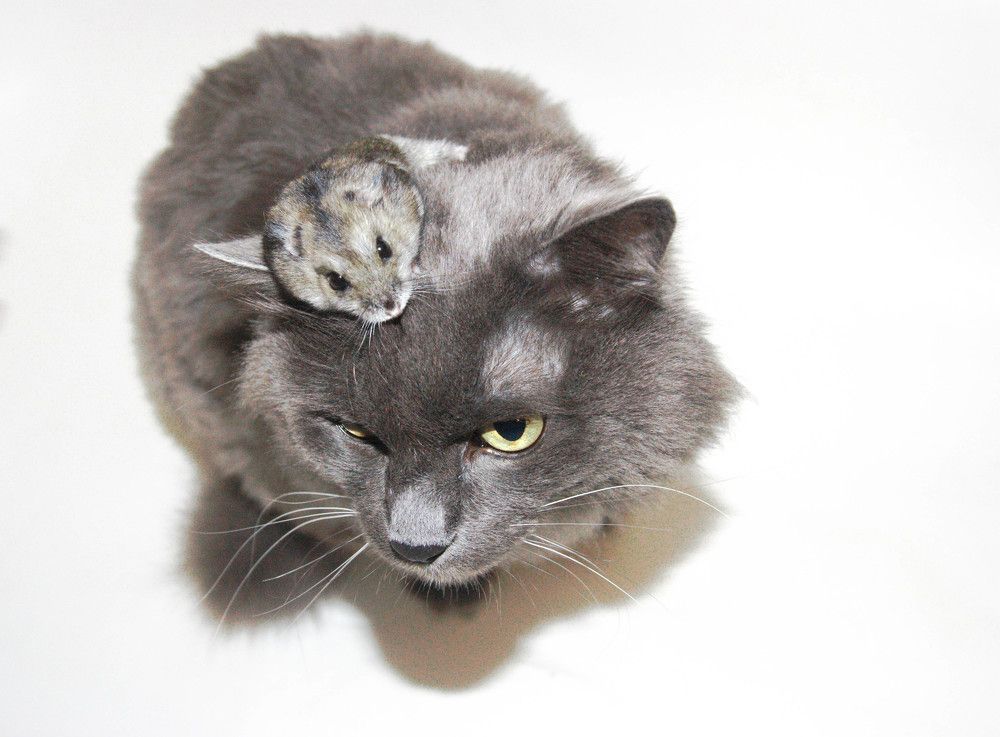 Photograph by Алина Меркулова