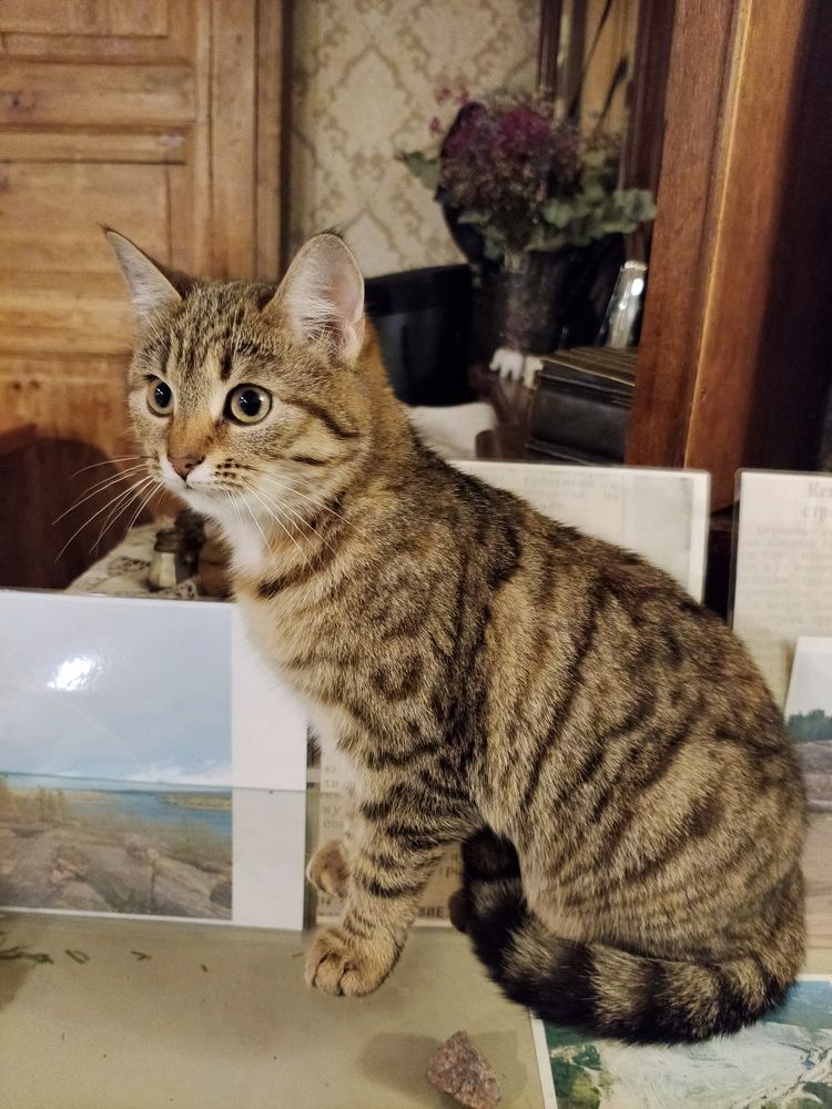 Photograph by Олег Васильев