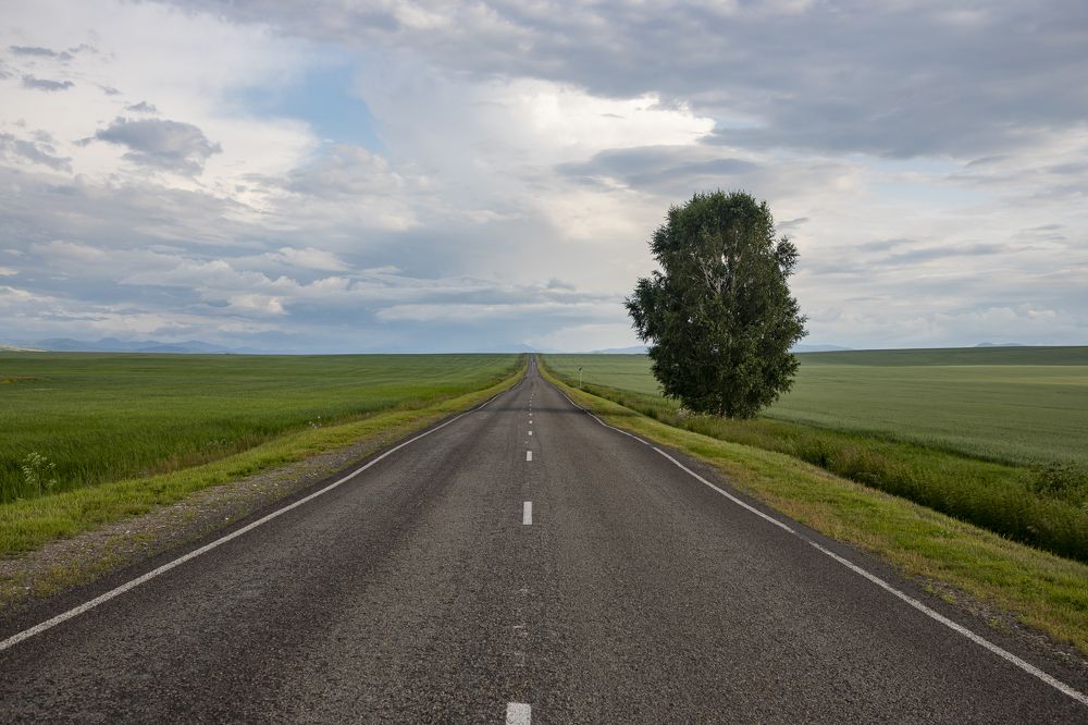 Photograph by Юлия Лазебная