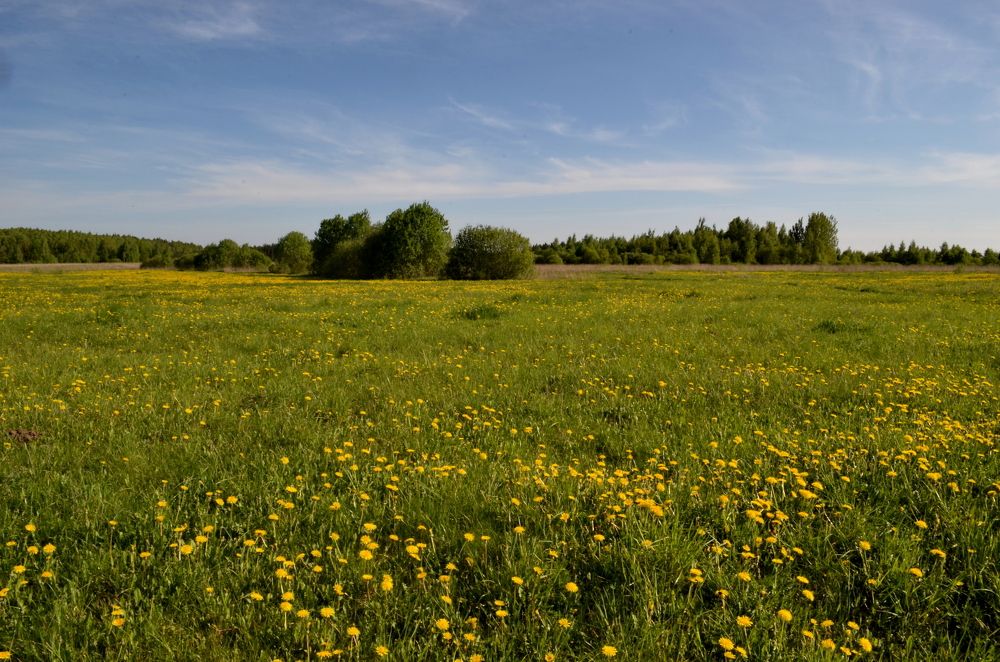 Photograph by Николай Соколовский