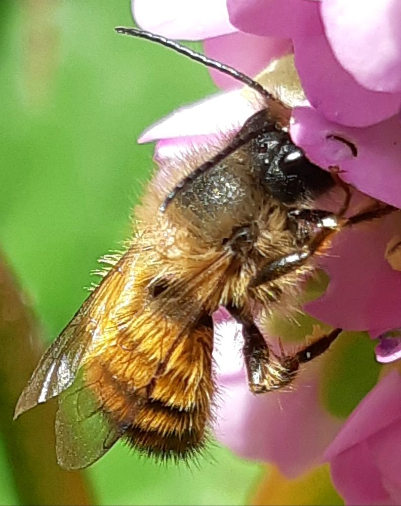 Photograph by Olga Александрова