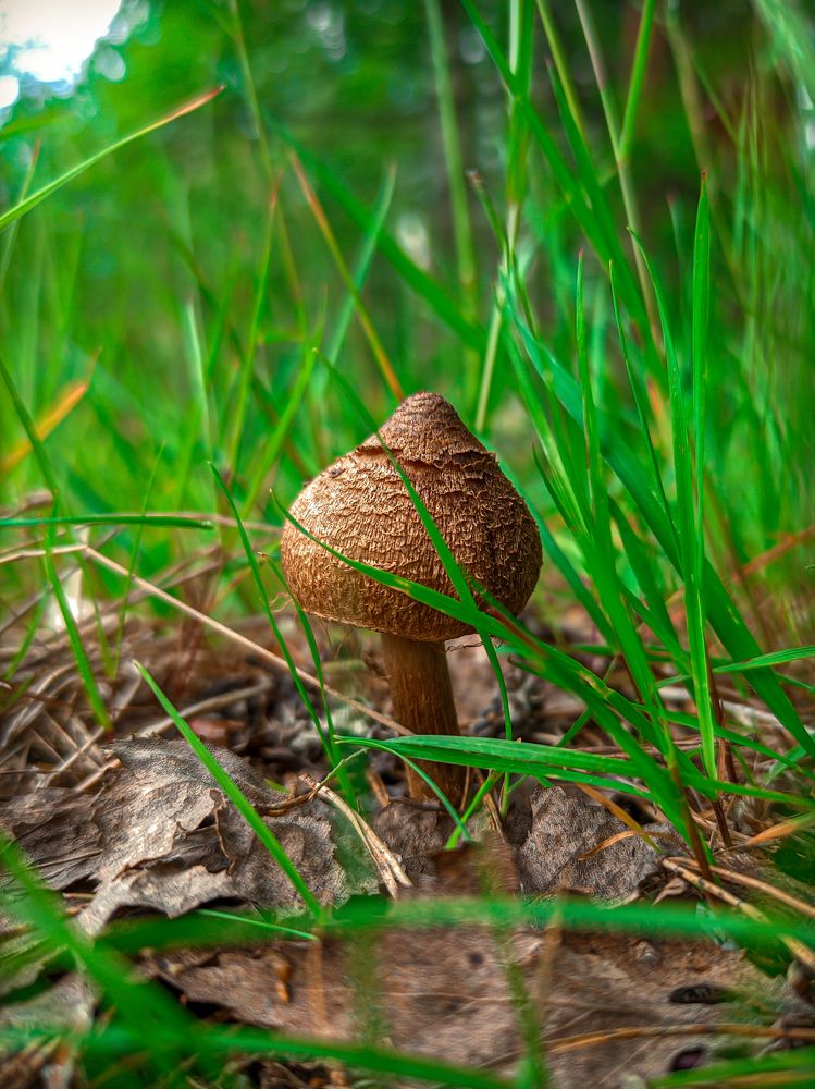 Фотография автора Александр Хухлов