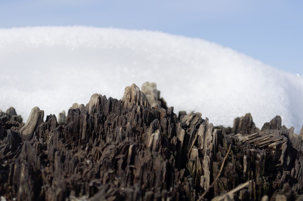 Photograph by Егор Кочергин