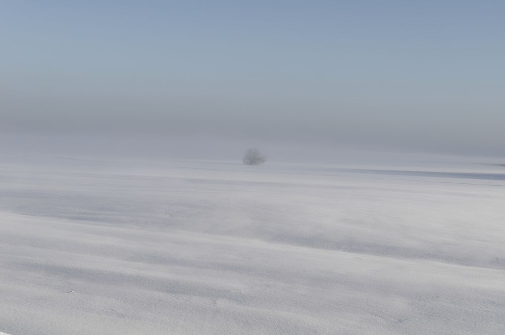 Photograph by Егор Кочергин