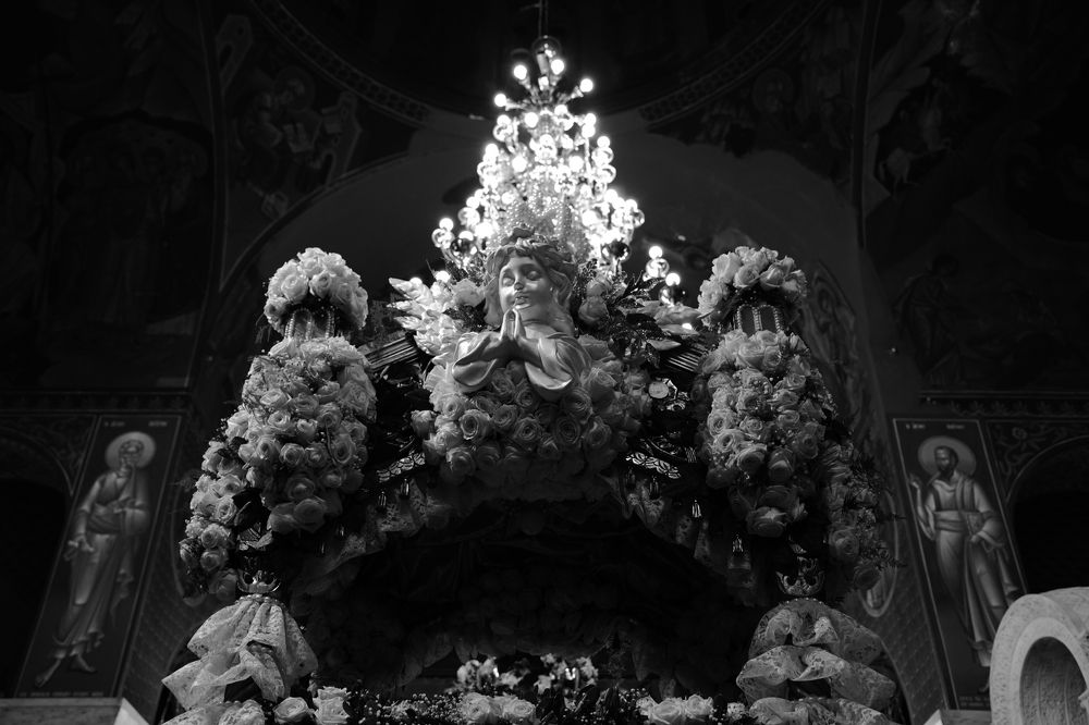 Фотография автора frankies photography