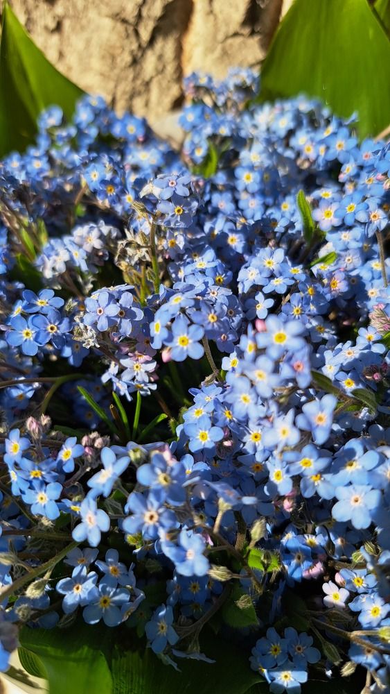 Photograph by Валентина Нохрина