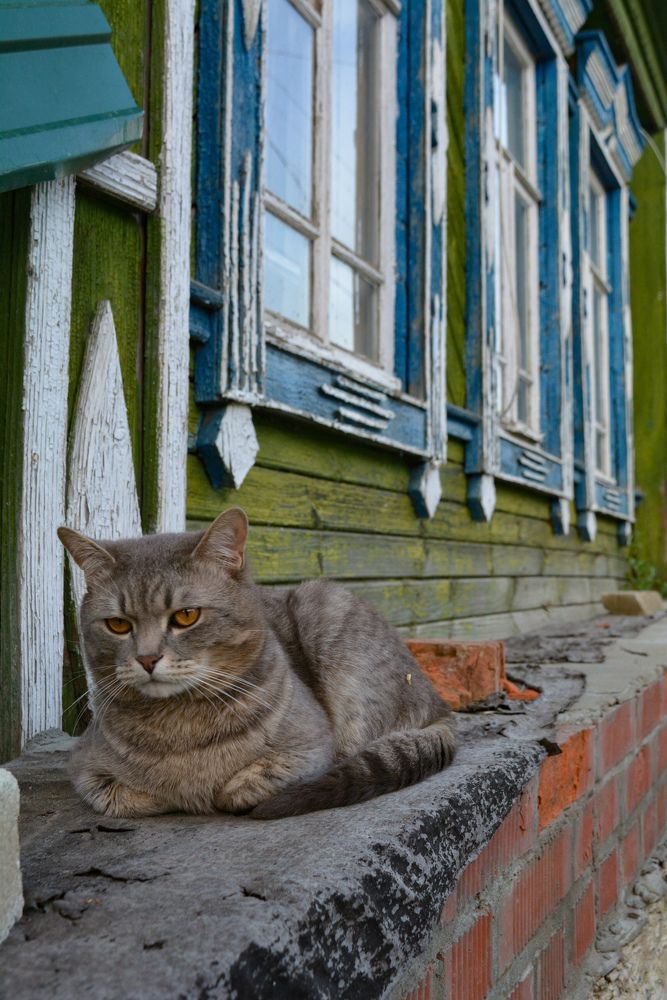 Photograph by Валентин Иванов